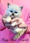 Swan’s Blue Mitted Traditional Boy - SOLD